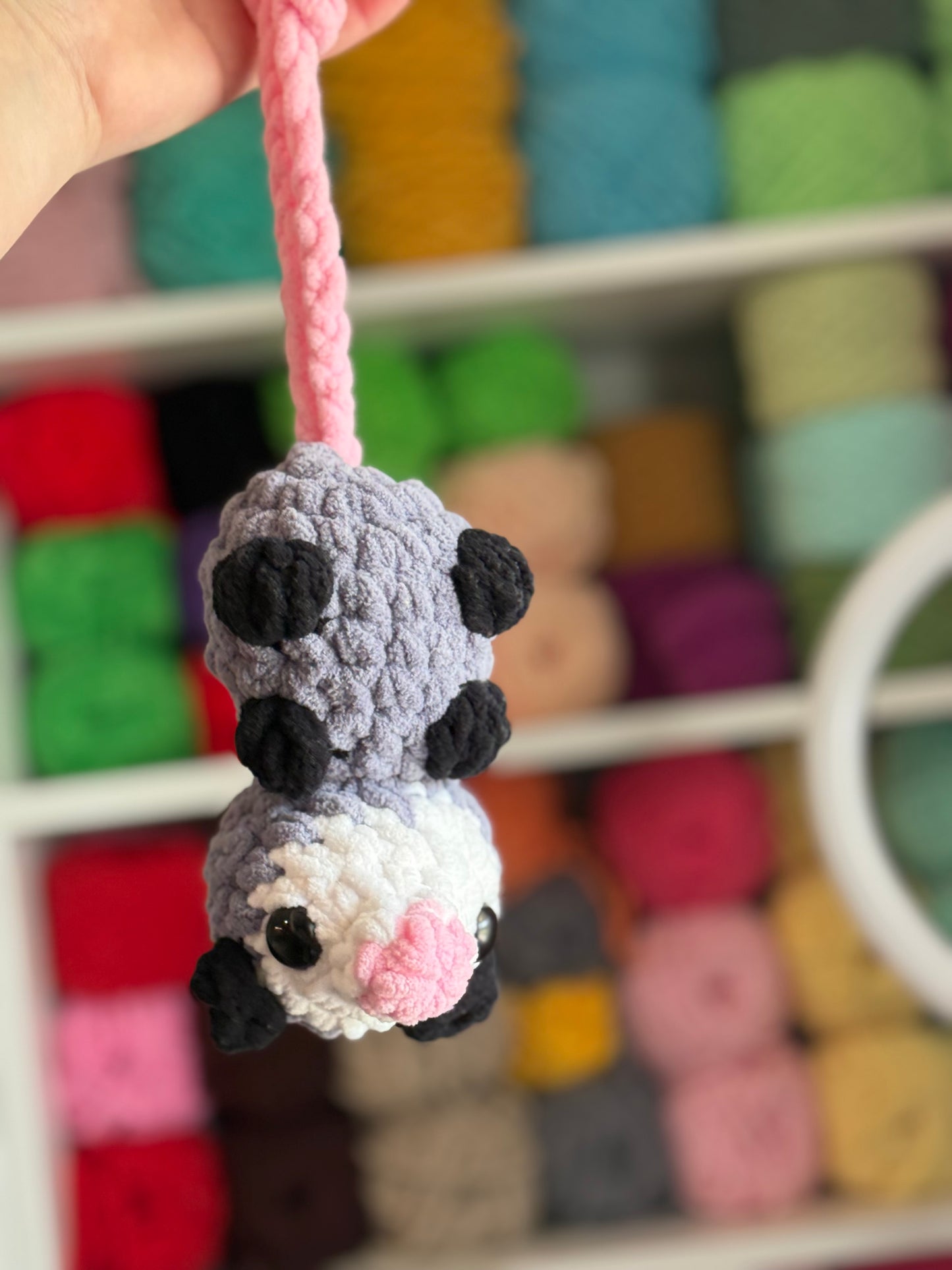 Hanging possum