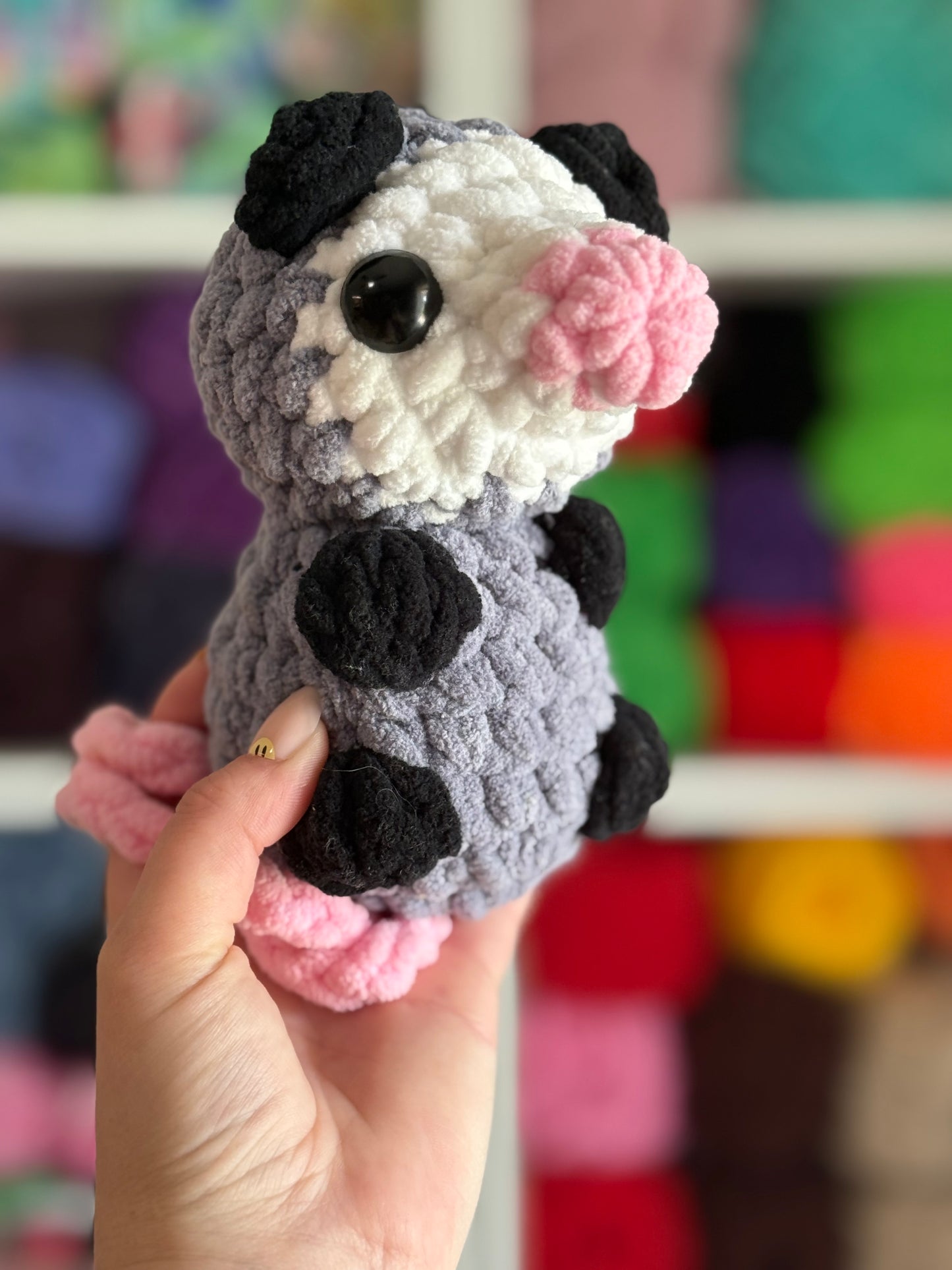 Hanging possum