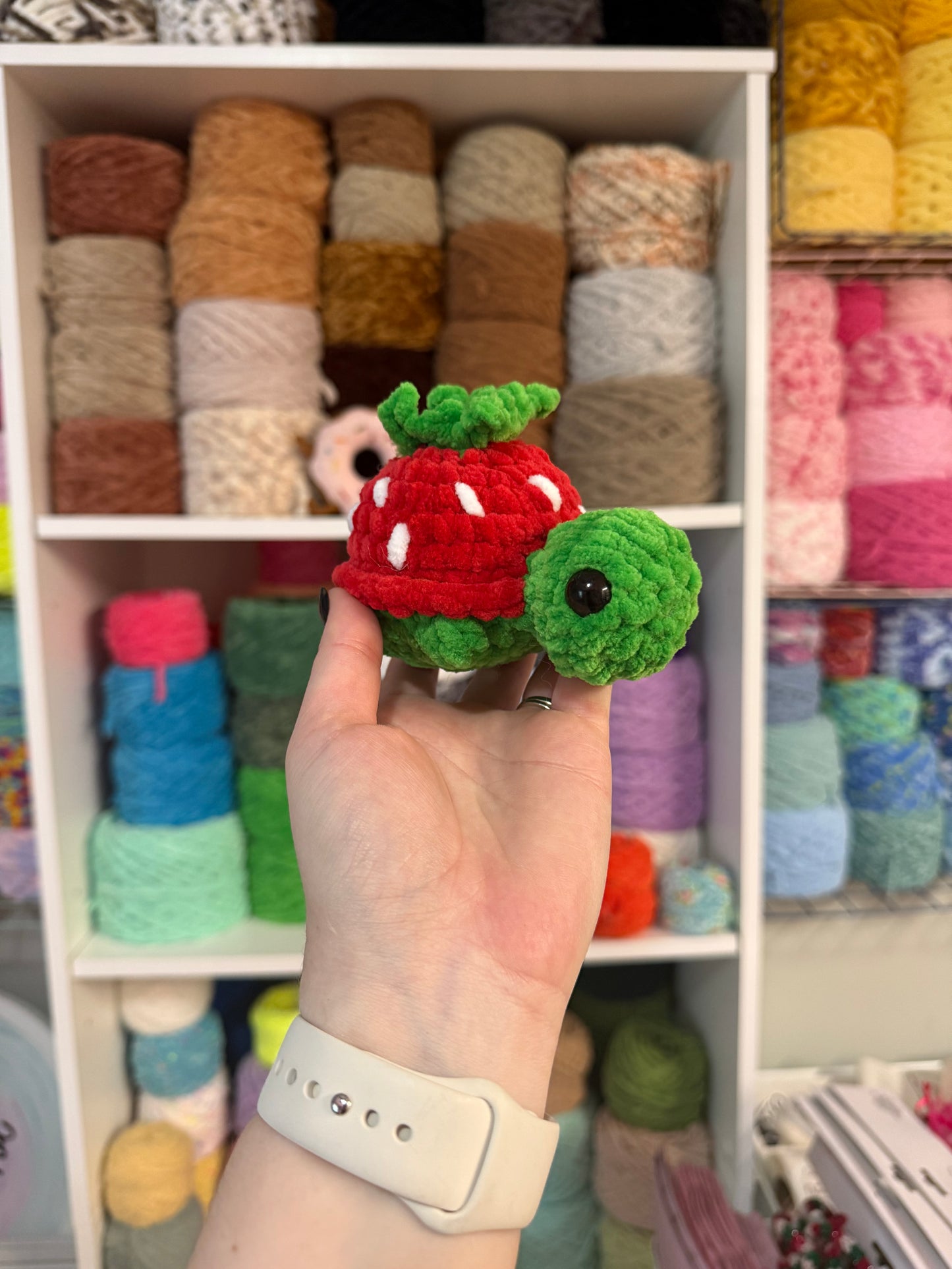 Strawberry turtle