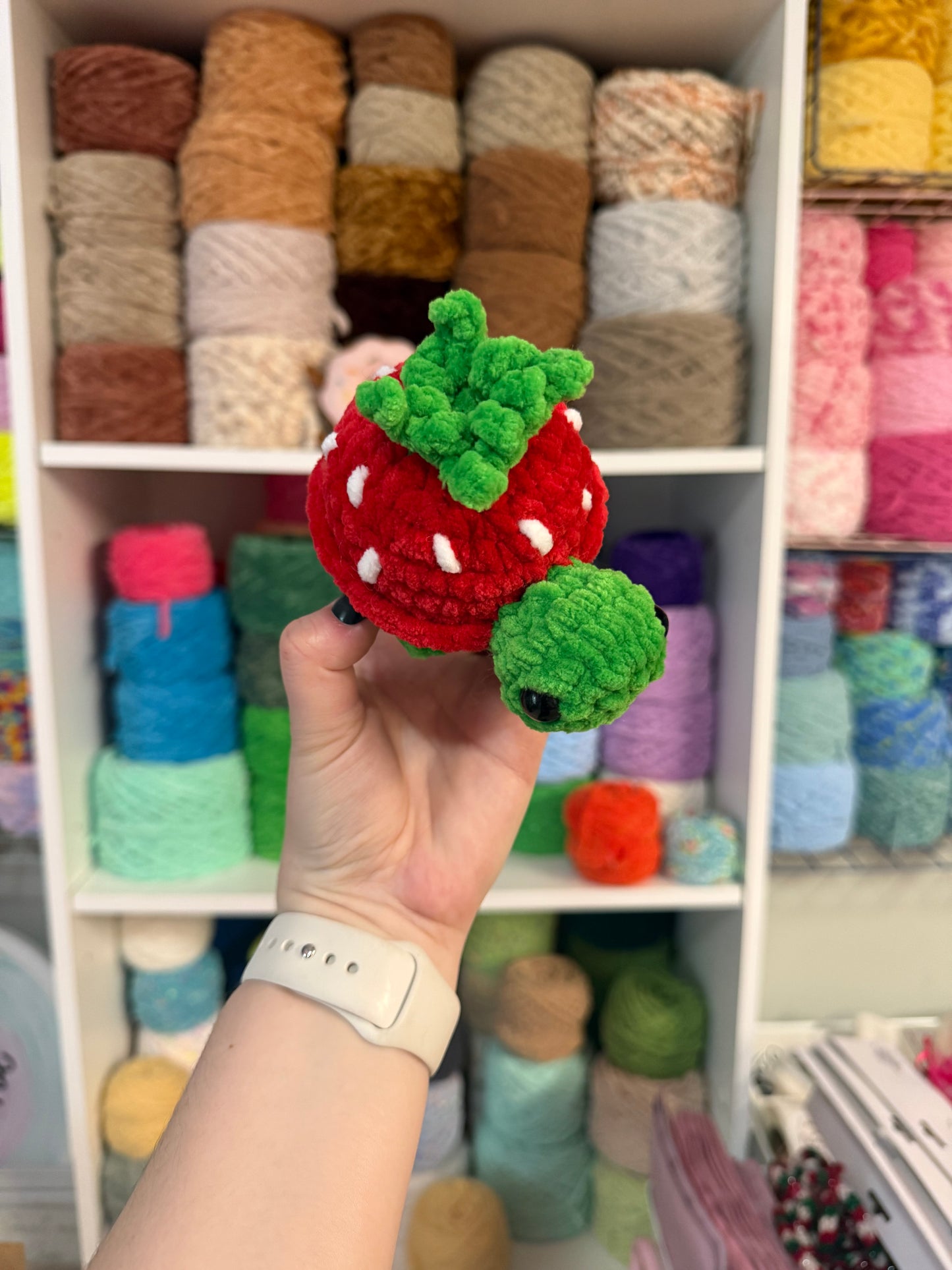 Strawberry turtle