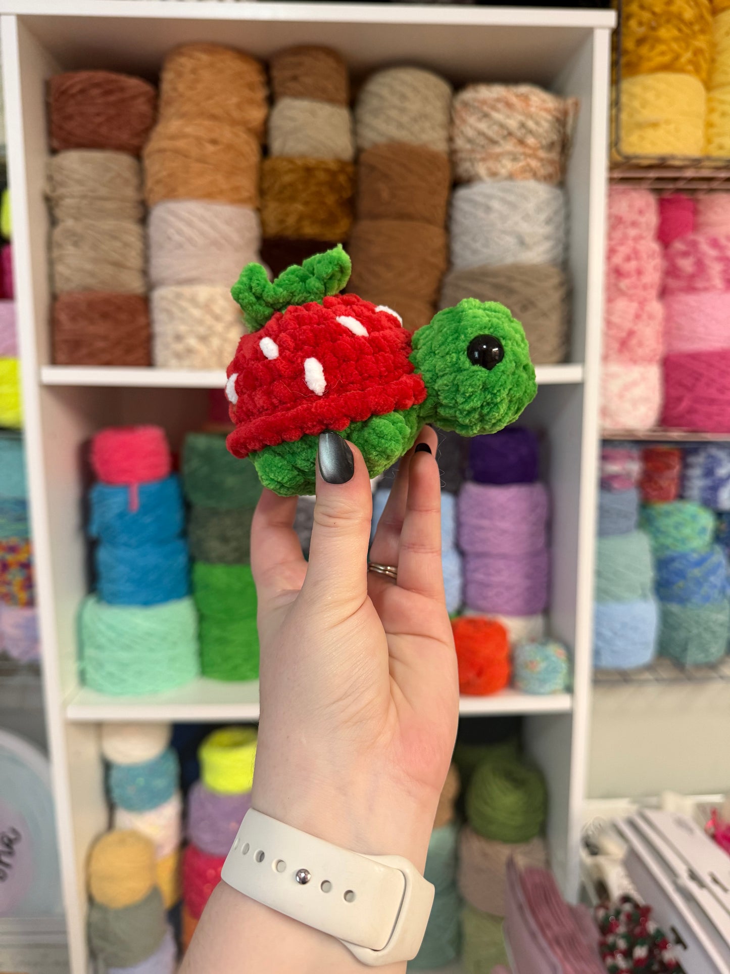 Strawberry turtle