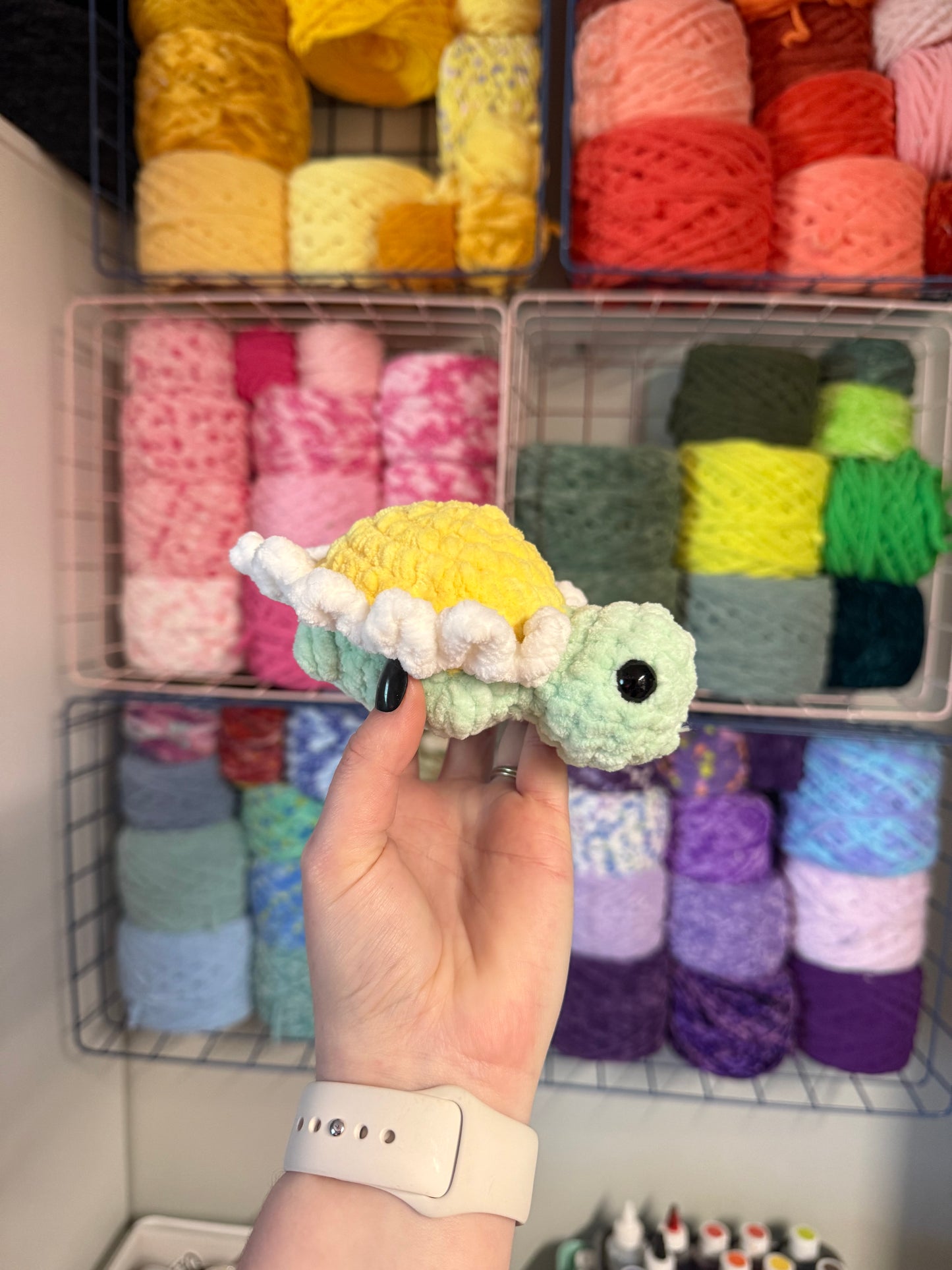 Daisy turtle