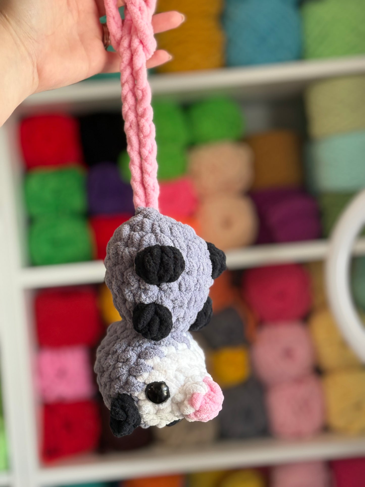 Hanging possum