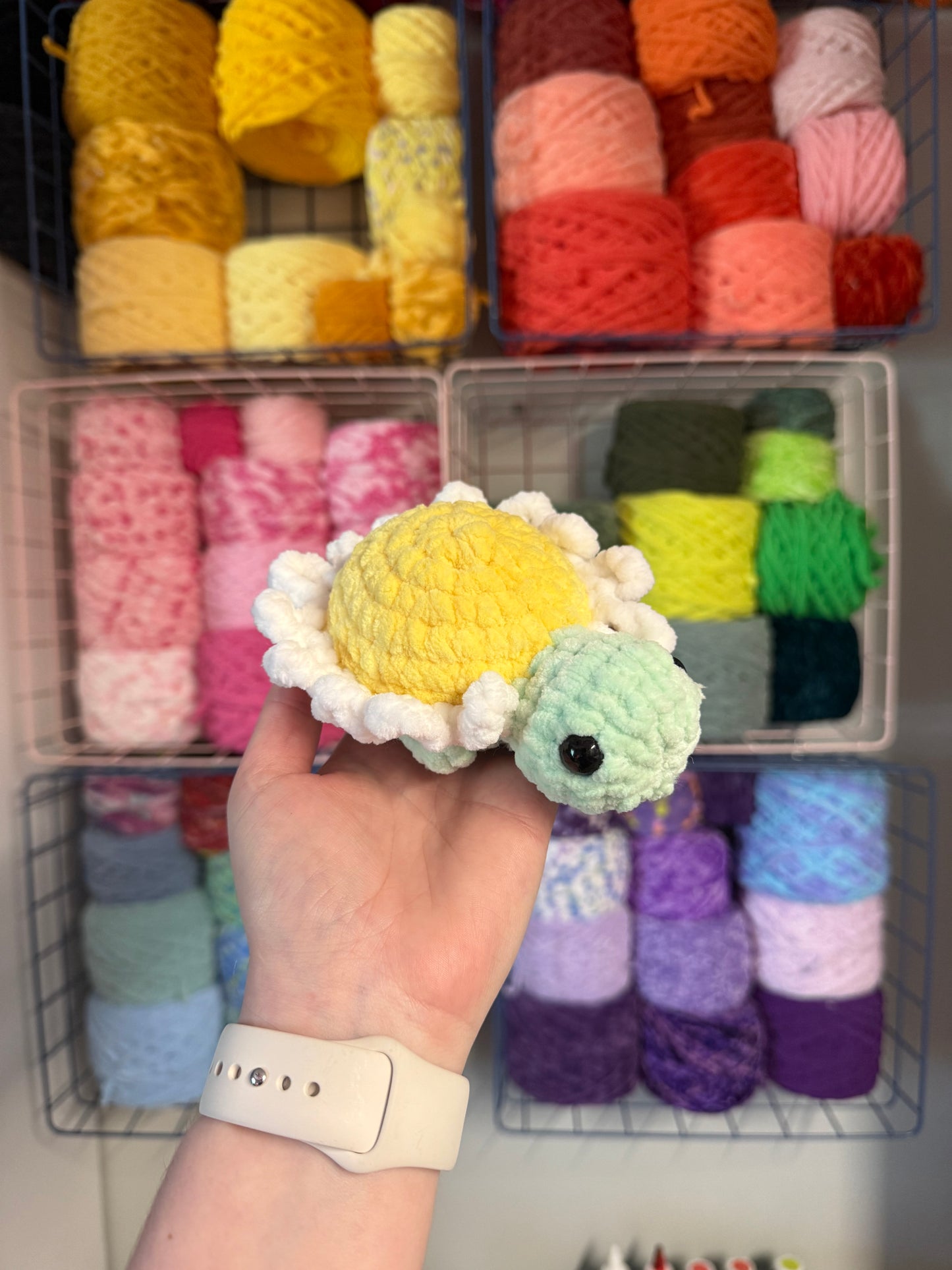 Daisy turtle
